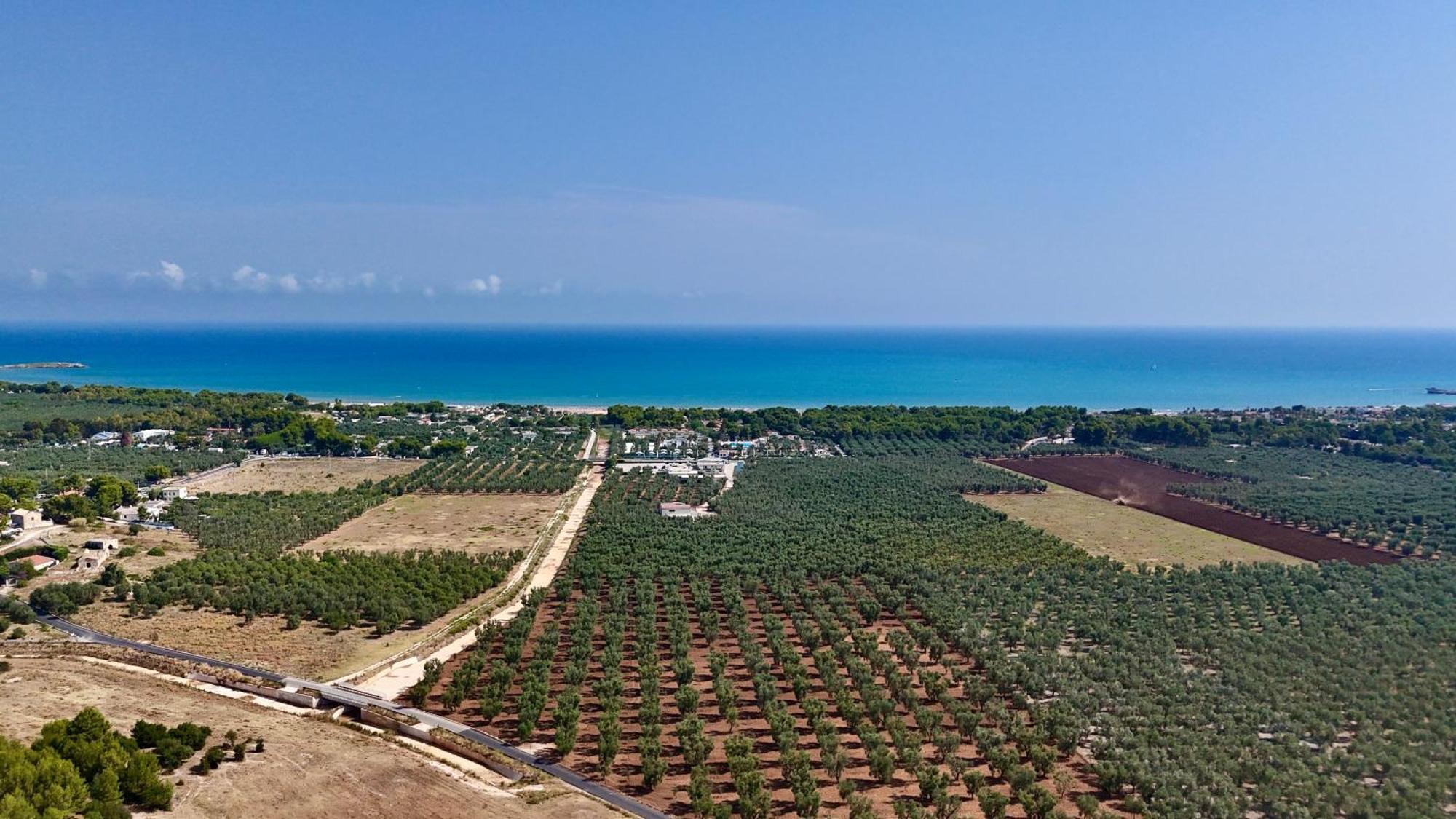 Villa Amica Vieste Zewnętrze zdjęcie